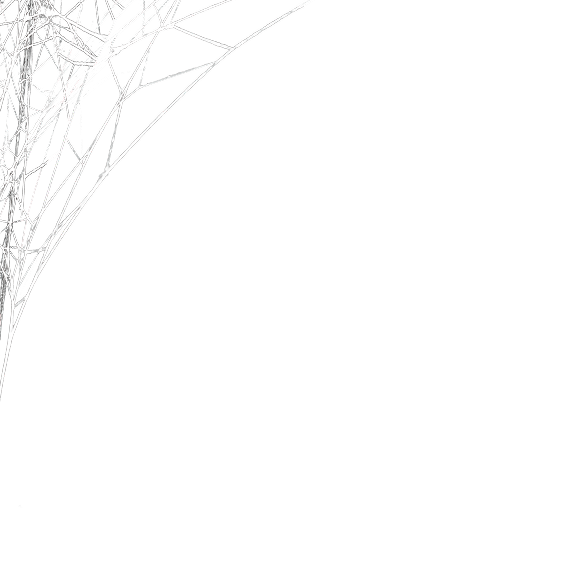 web